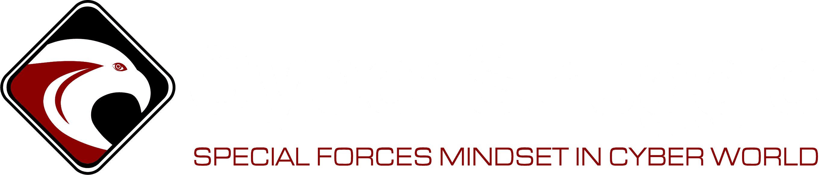 Cyber Struggle